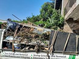 Best Attic Cleanout  in South Haven, IN